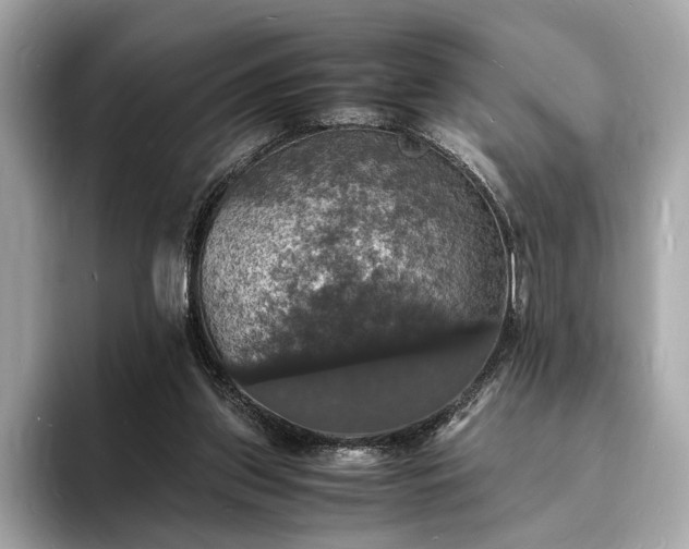 X0000094060157200710261233