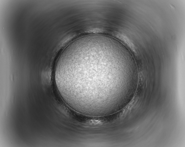 X0000094060159200710261233