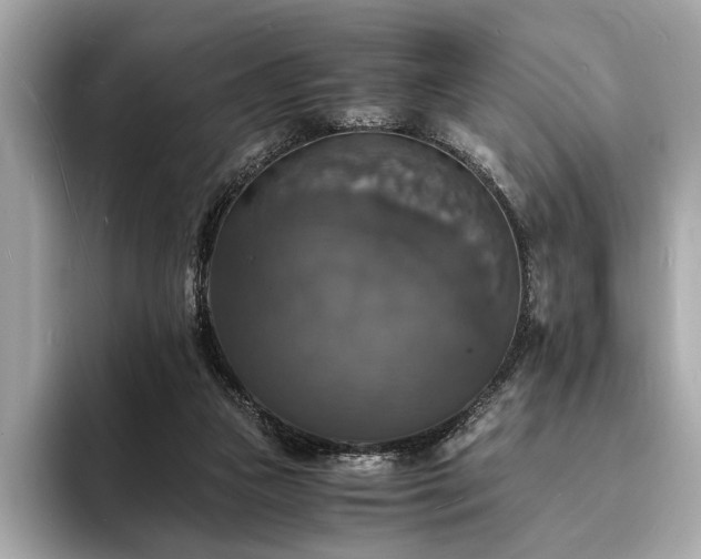 X0000094060161200710261233
