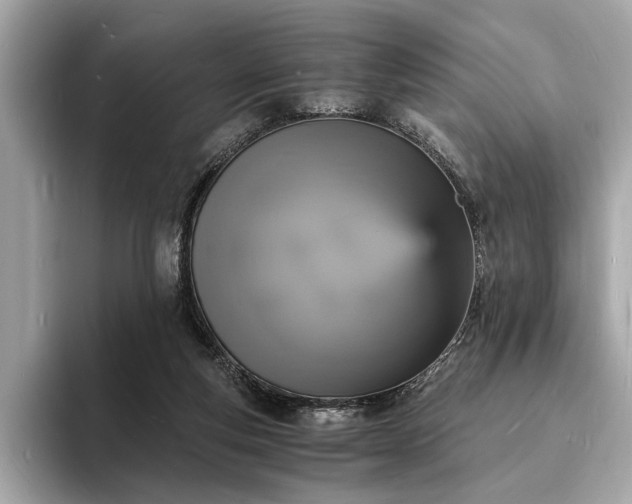 X0000094060163200710261233