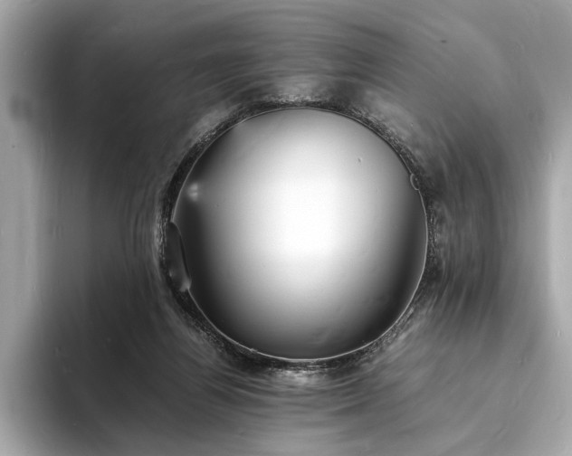 X0000094060164200710261233