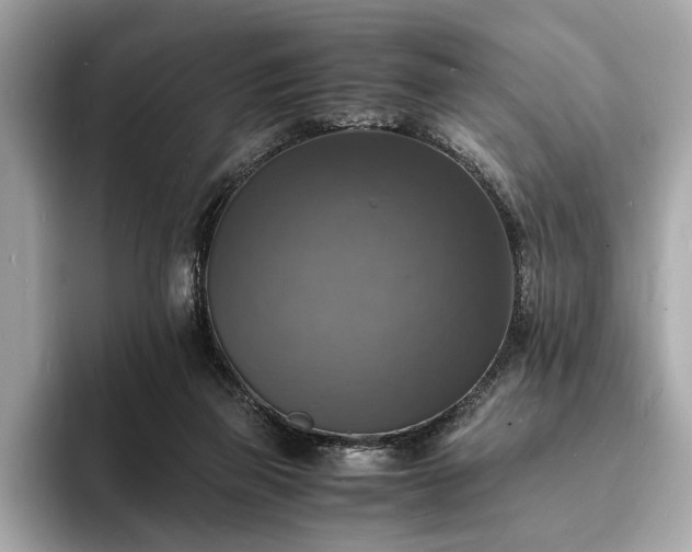 X0000094060165200710261233