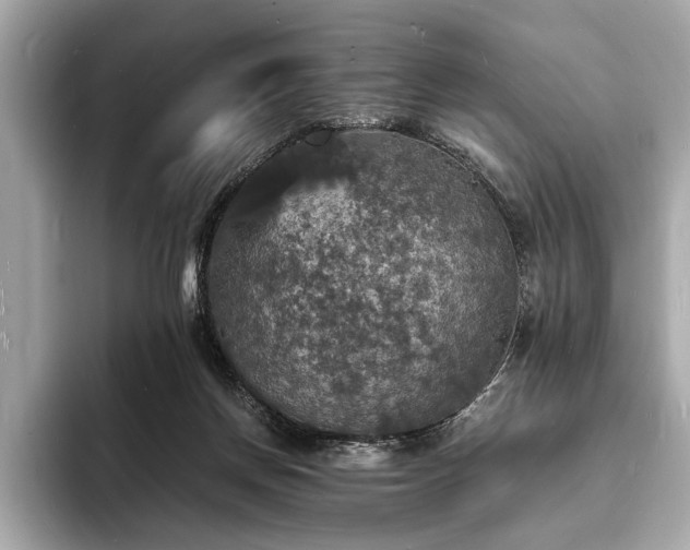 X0000094060166200710261233