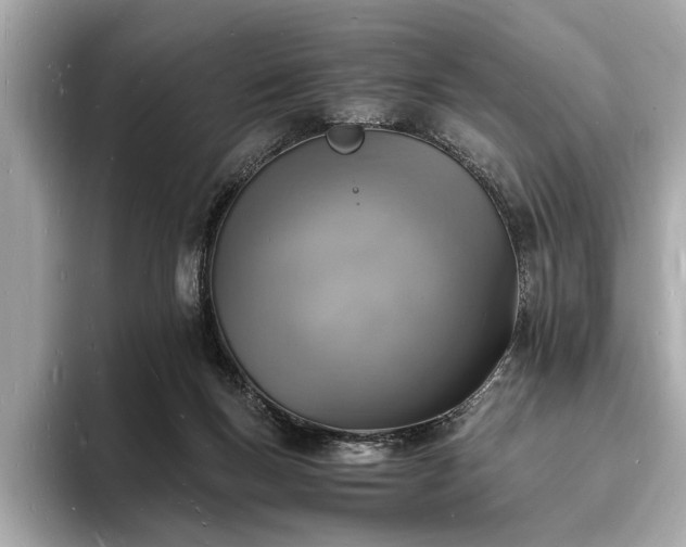 X0000094060167200710261233