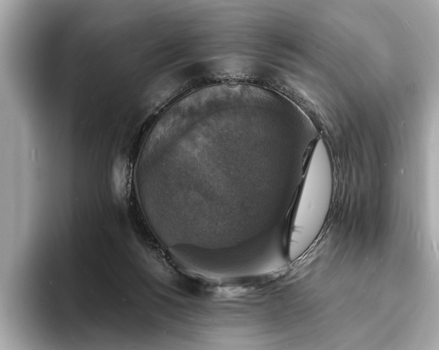 X0000094060168200710261233