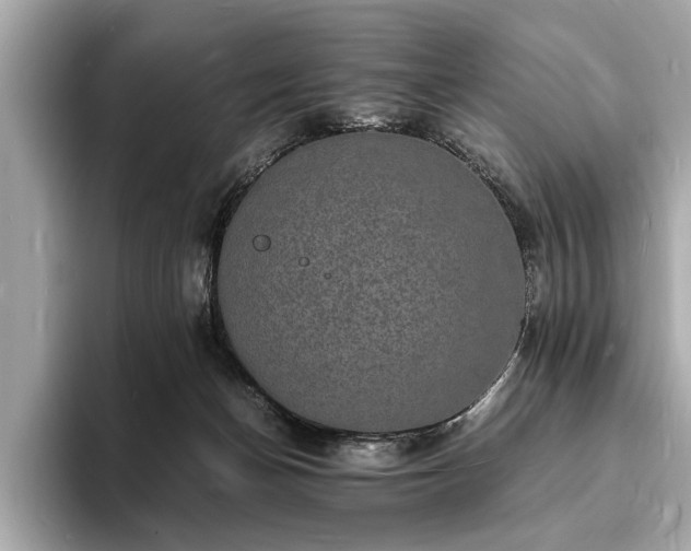 X0000094060174200710261233