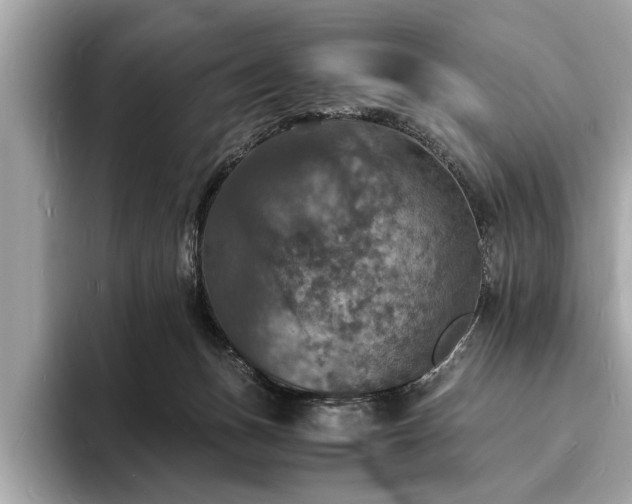 X0000094060175200710261233