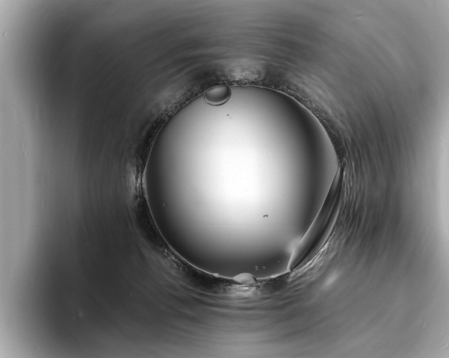 X0000094060176200710261233