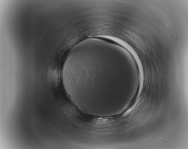X0000094060180200710261233