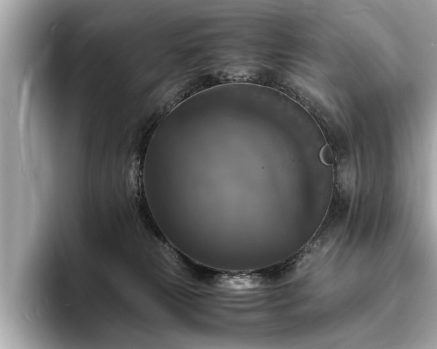 X0000094060181200710261233
