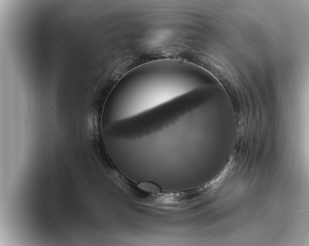 X0000094060182200710261233