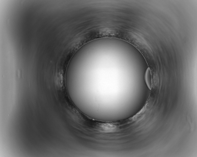 X0000094060183200710261233
