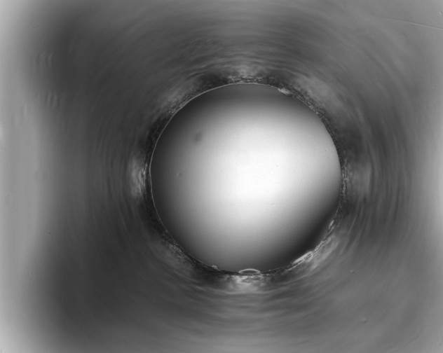 X0000094060188200710261233