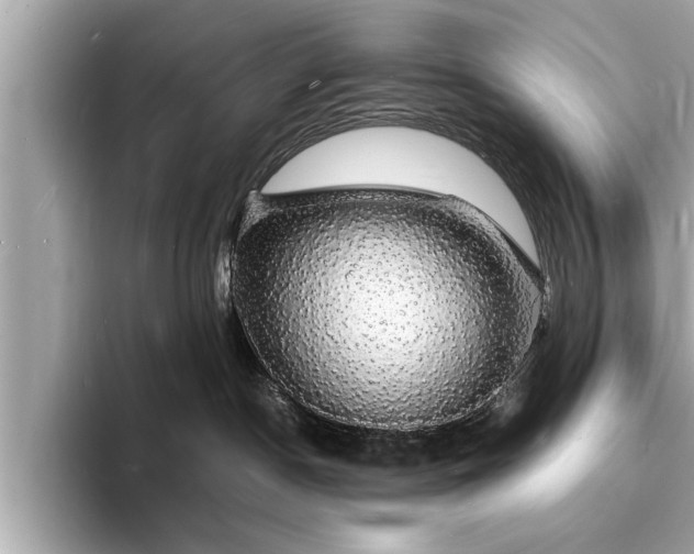 X0000094060190200710261233