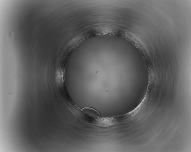 X0000094060191200710261233
