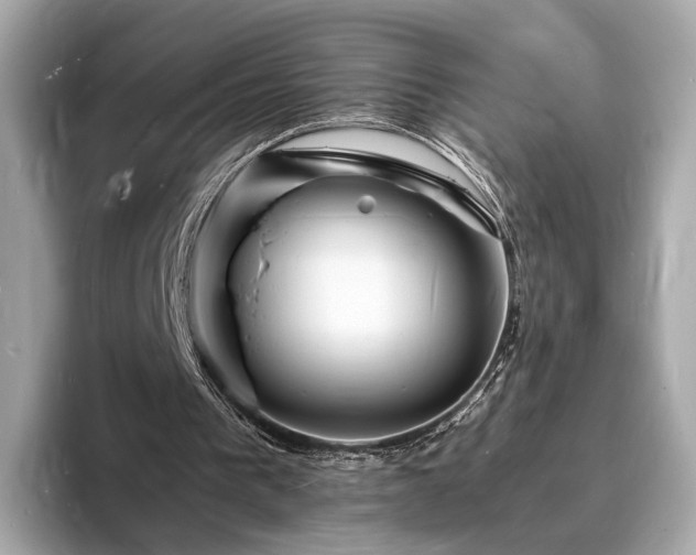 X0000094060193200710261232