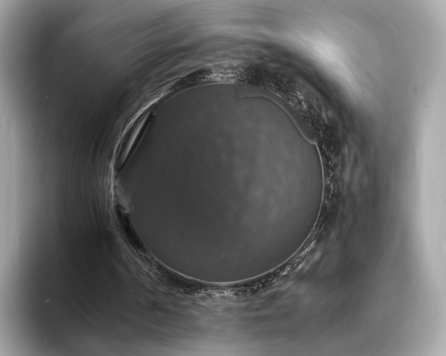 X0000094060194200710261232