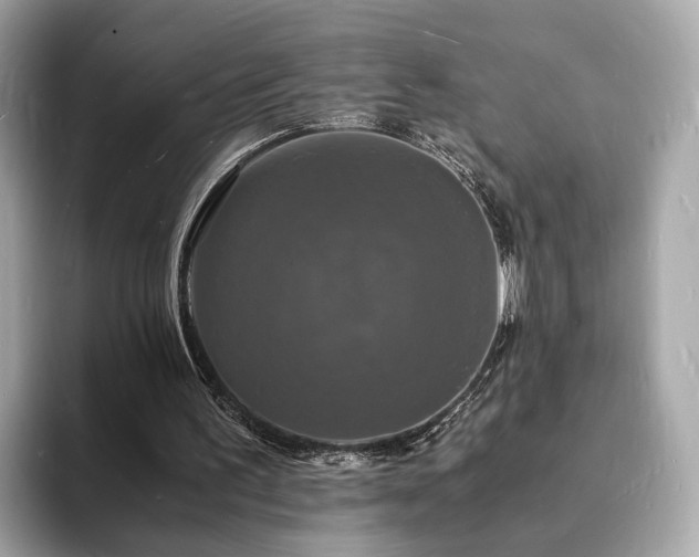 X0000094060195200710261232