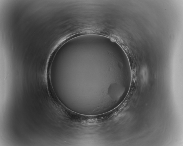 X0000094060196200710261232