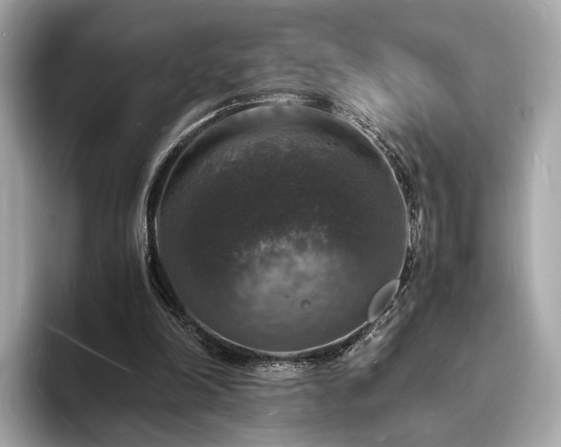 X0000094060198200710261232