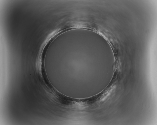 X0000094060199200710261232