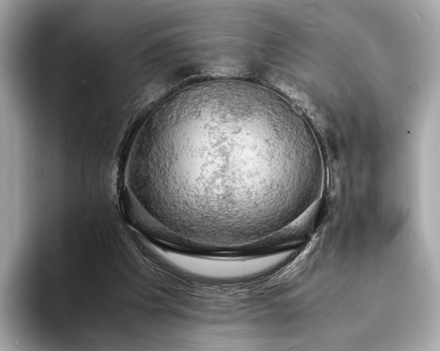 X0000094060201200710261232