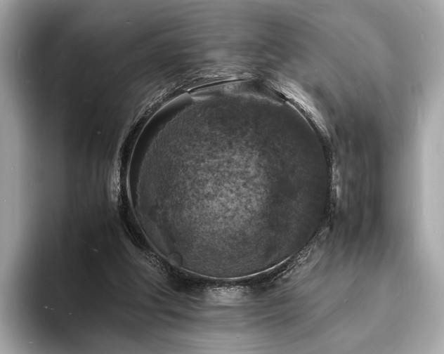 X0000094060202200710261232