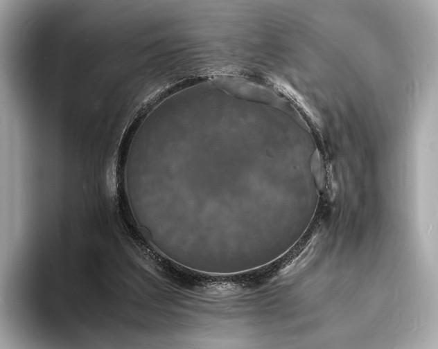 X0000094060203200710261232