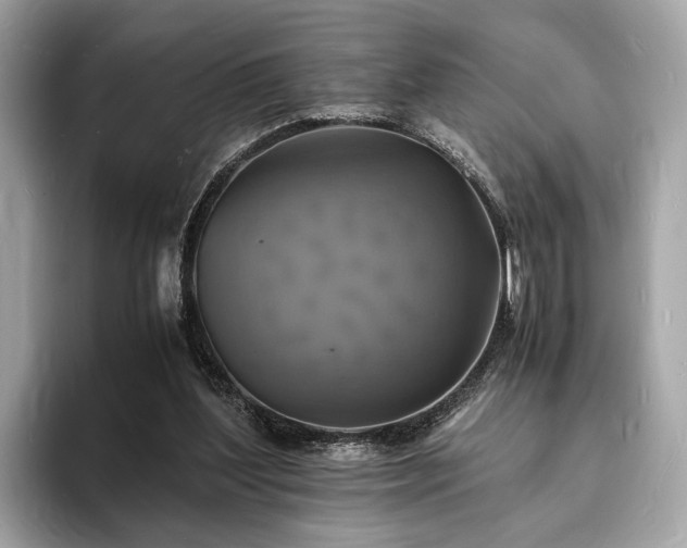 X0000094060204200710261232