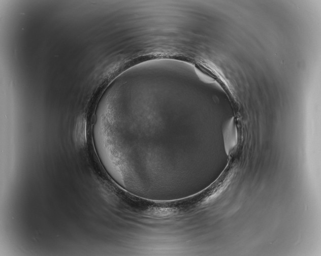 X0000094060205200710261232
