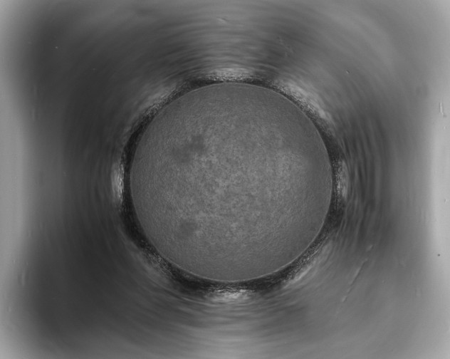 X0000094060206200710261232