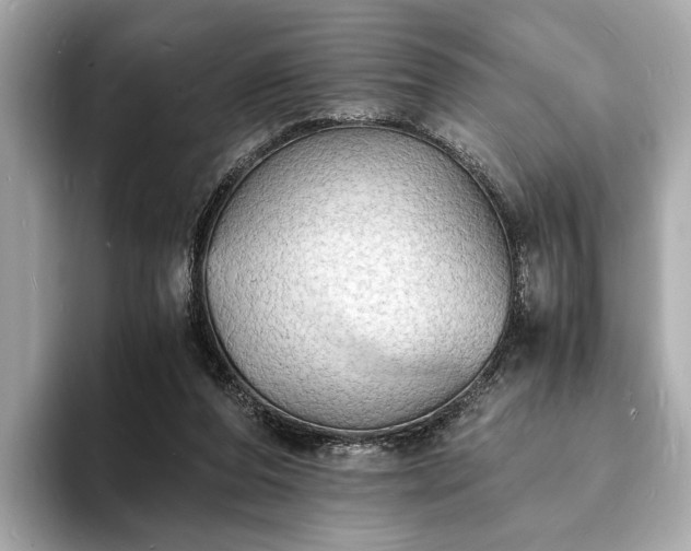 X0000094060208200710261232