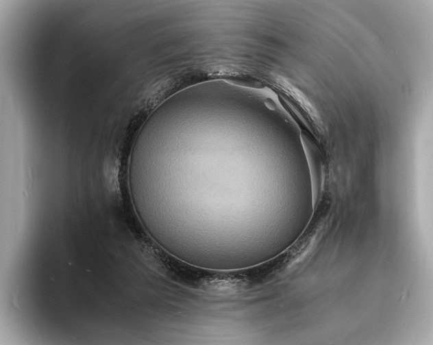 X0000094060209200710261232