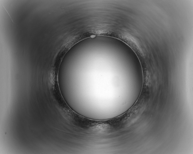 X0000094060210200710261232