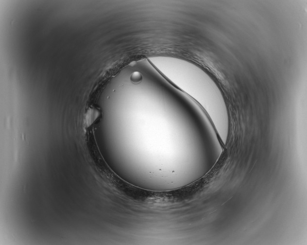X0000094060211200710261232