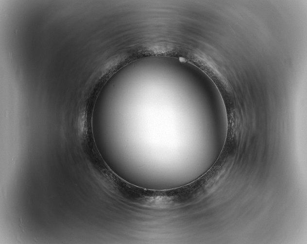 X0000094060212200710261232