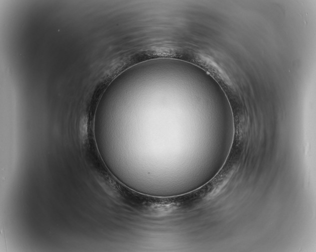 X0000094060213200710261232
