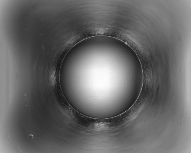 X0000094060216200710261232