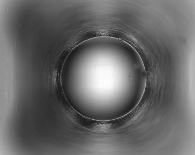 X0000094060217200710261232