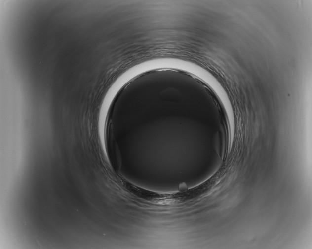 X0000094060219200710261232