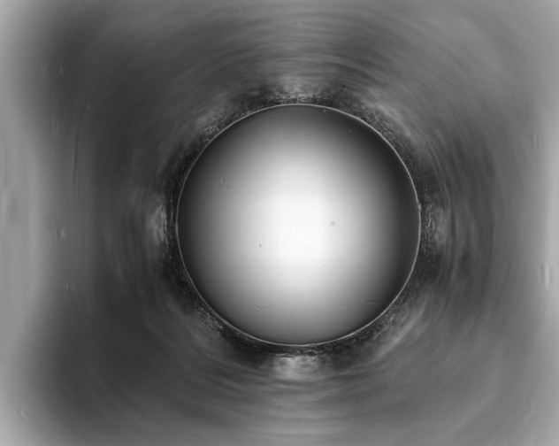 X0000094060220200710261232
