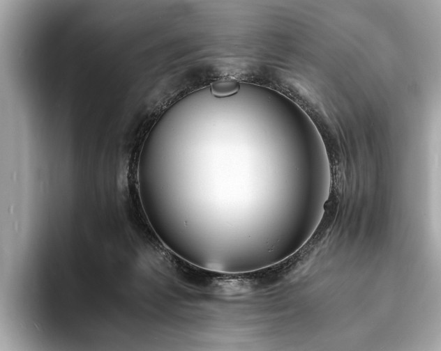X0000094060221200710261232