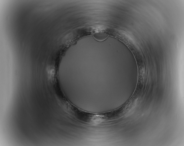 X0000094060222200710261232
