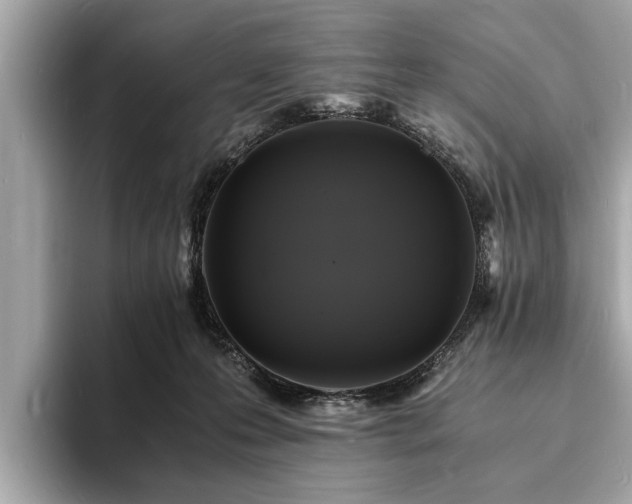 X0000094060223200710261232