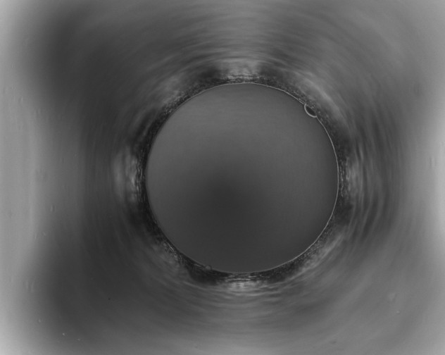 X0000094060228200710261232