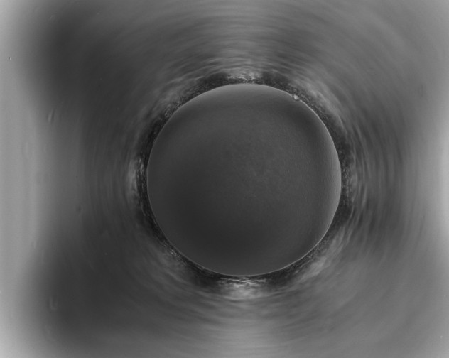 X0000094060229200710261232