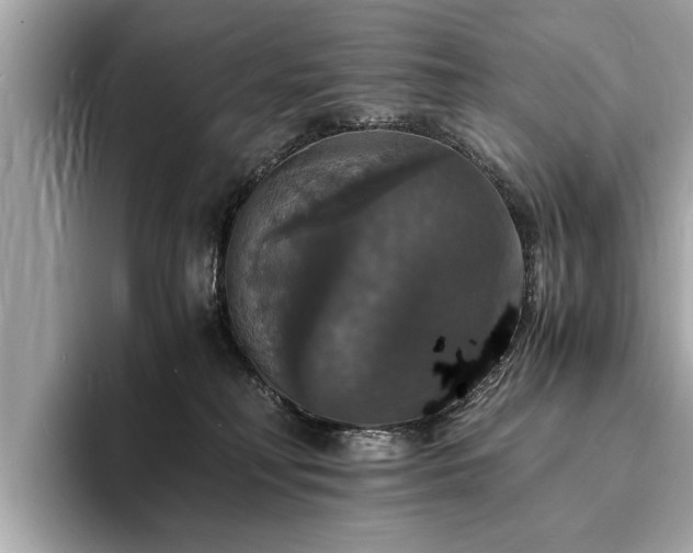X0000094060230200710261232