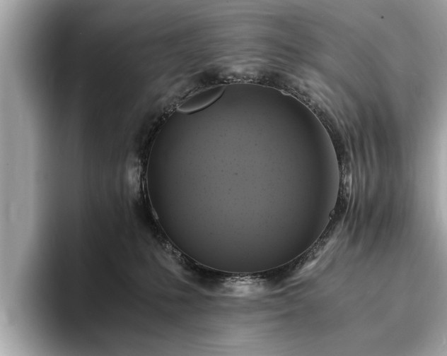 X0000094060231200710261232