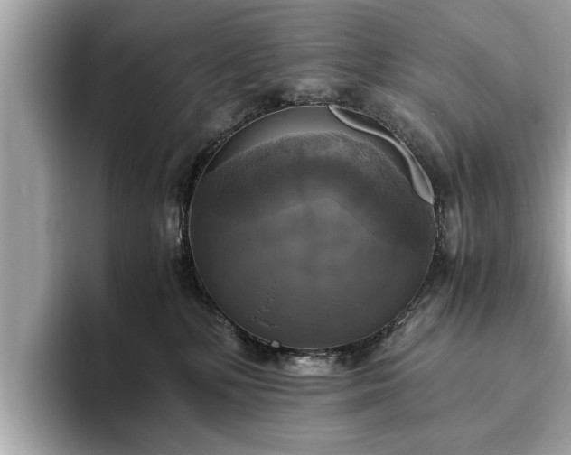 X0000094060232200710261232