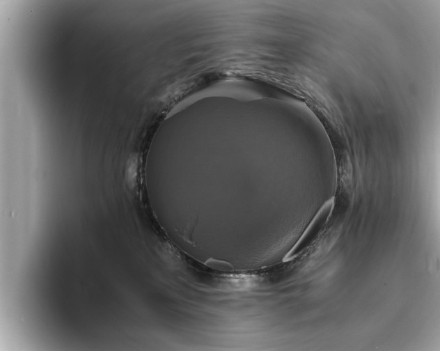 X0000094060233200710261232